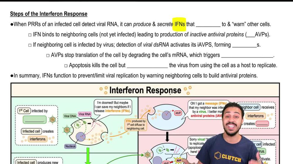 Steps of the Interferon Response