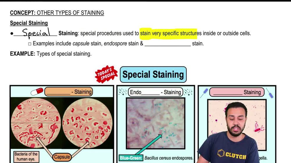 Special Staining