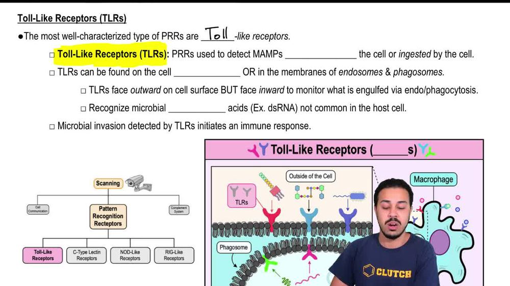Toll-Like Receptors