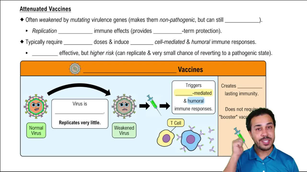Attenuated Vaccines