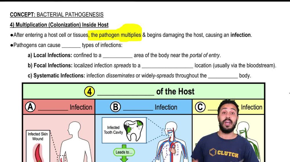 4) Multiplication (Colonization) Inside Host