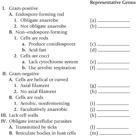 Outline for identifying bacteria by cell wall type with categories and blanks for genus names.