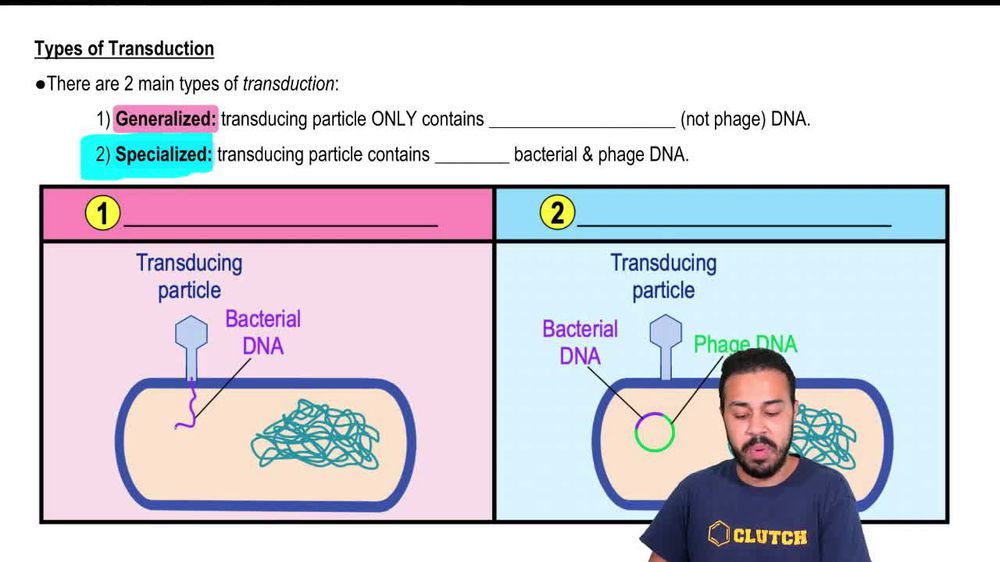 Types of Transduction
