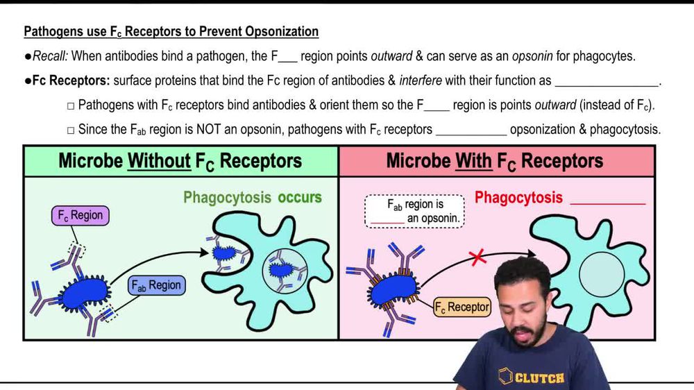 Pathogens Use Fc Receptors to Prevent Opsonization