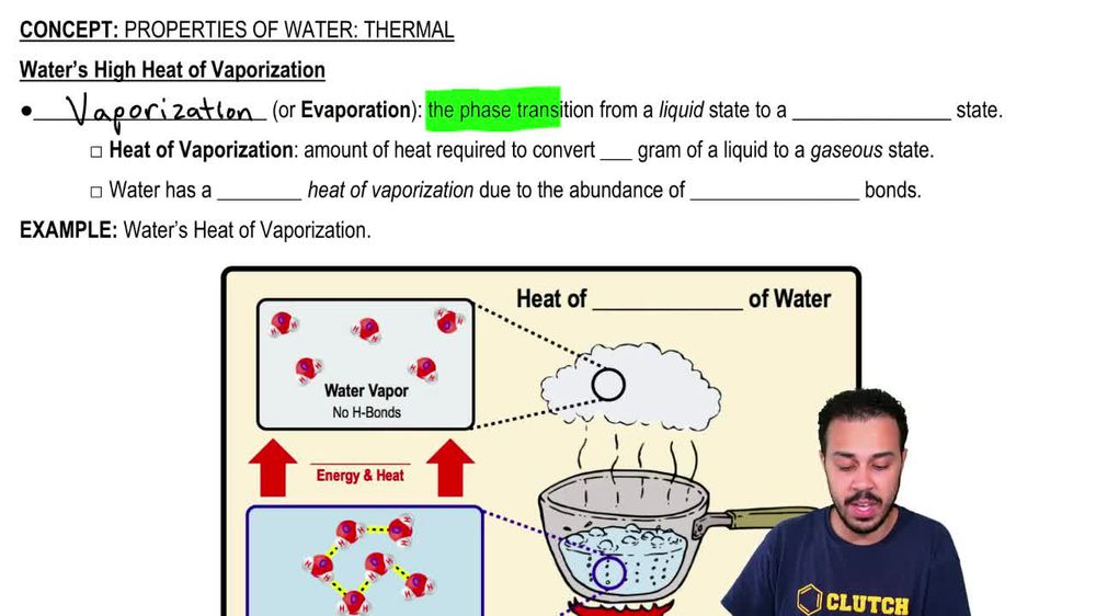 Water’s High Heat of Vaporization