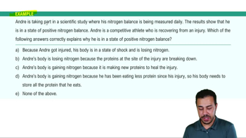 Dietary Guidelines for Proteins Example 1