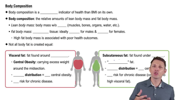 Body Composition