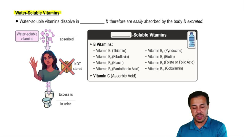 Water-Soluble Vitamins