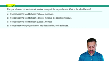 Simple vs Complex Carbohydrates Example 2