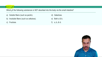 Fiber Example 2