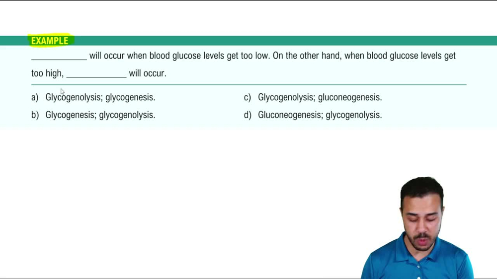 Carbohydrate Digestion Example 2