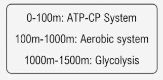 Chart showing energy systems used in a 1500-meter race: ATP-CP for 0-100m, Aerobic for 100-1000m, Glycolysis for 1000-1500m.