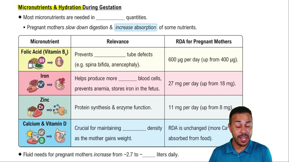 Micronutrients & Hydration During Gestation