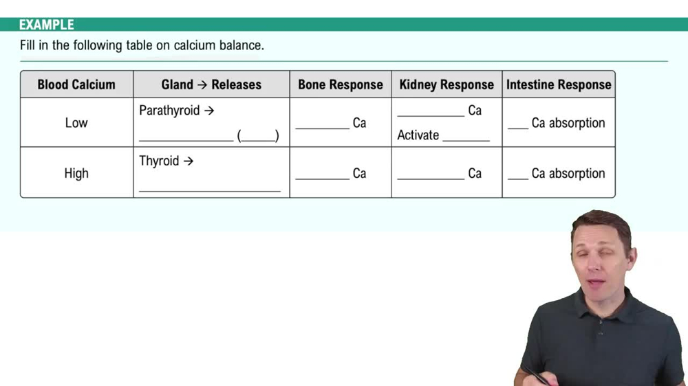 Major Mineral: Calcium and Phosphorus Example 2