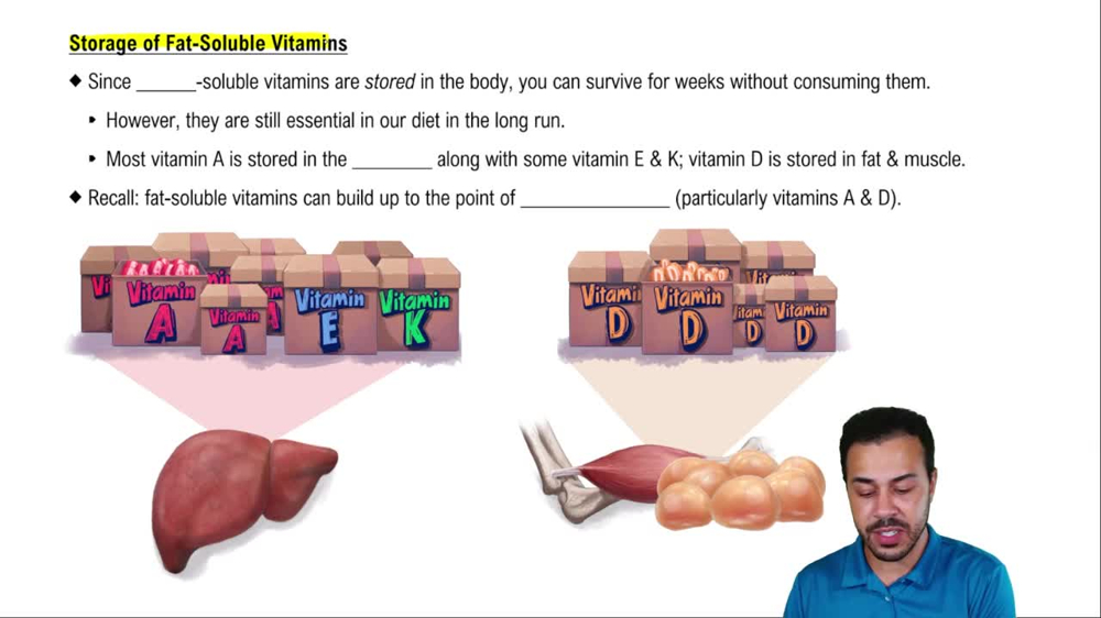 Storage of Fat-Soluble Vitamins