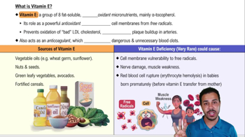 What is Vitamin E?