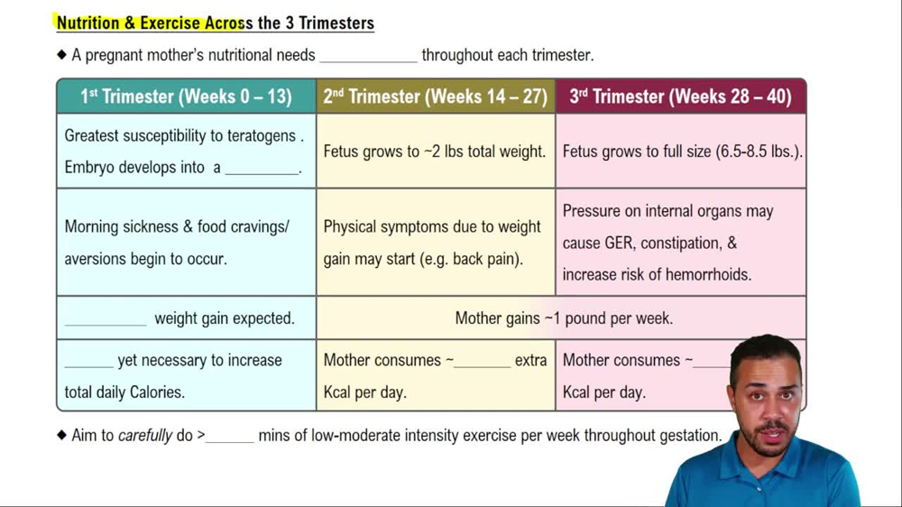 Nutrition & Exercise Across the 3 Trimesters