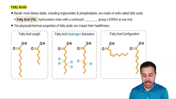 Fatty Acids