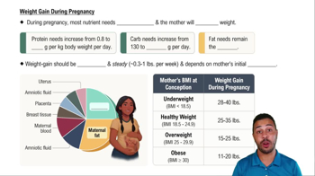 Weight Gain During Pregnancy
