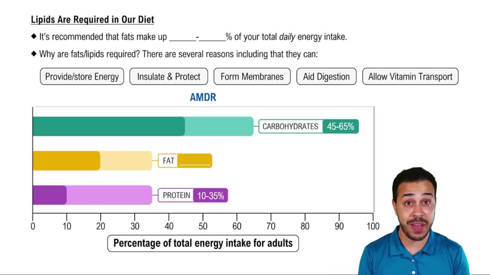 Lipids Are Required in Our Diet