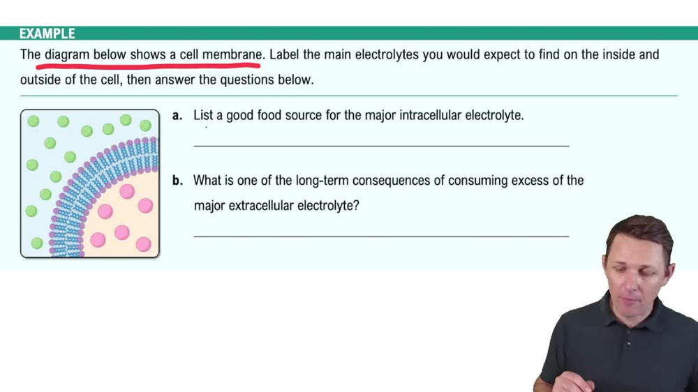 Major Mineral: Sodium and Potassium Example 2