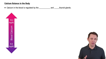 Calcium Balance in the Body