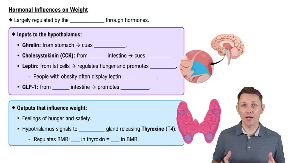 Hormonal Influences on Weight