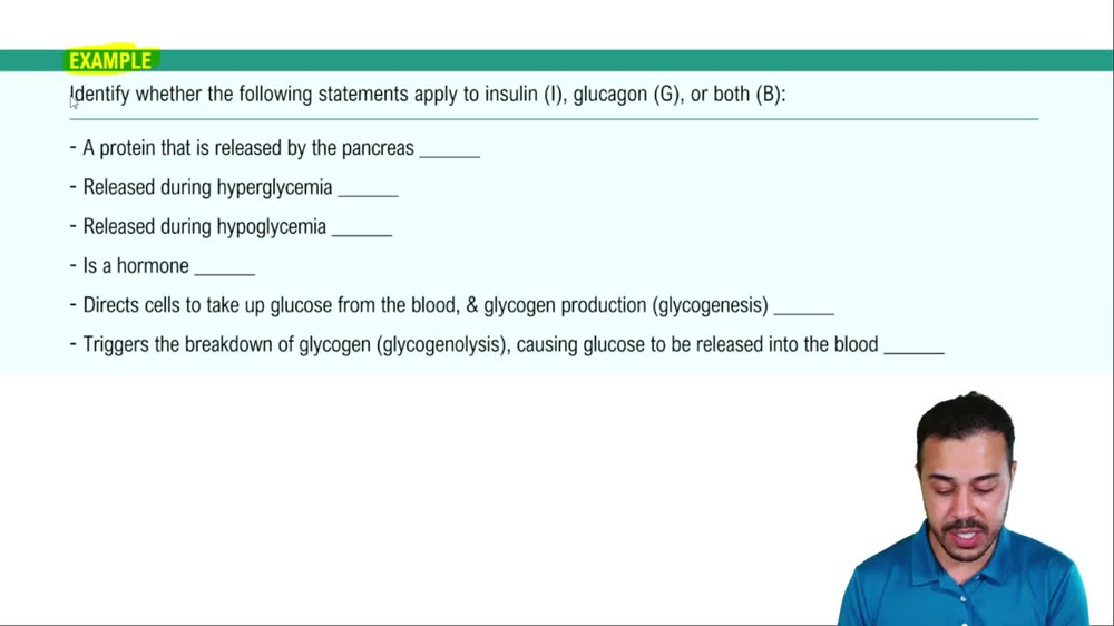 Blood Glucose Regulation Example 1
