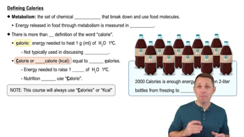 Defining Calories