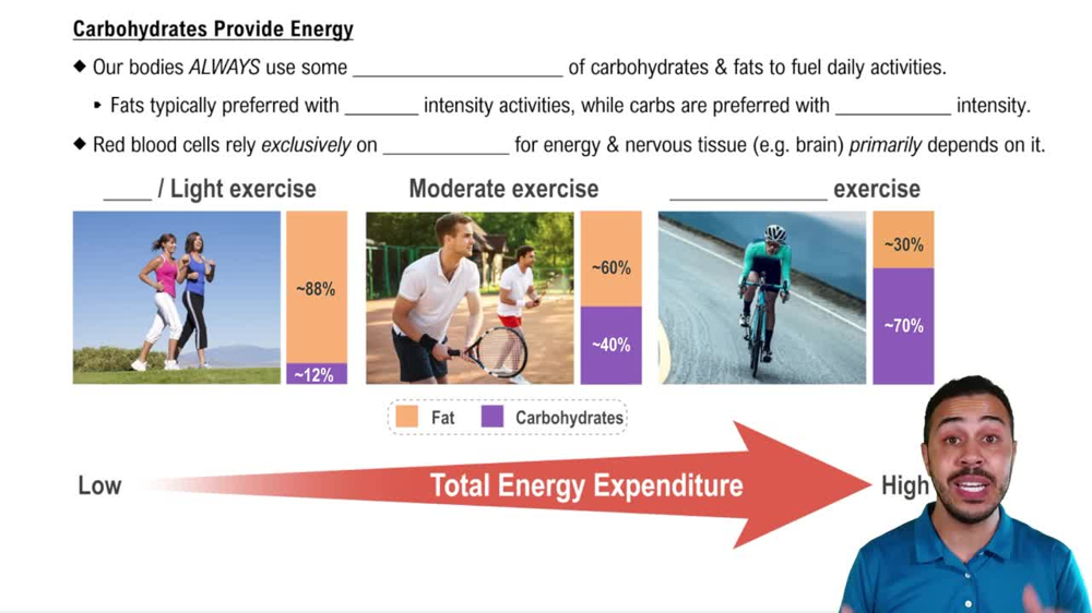 Carbohydrates Provide Energy