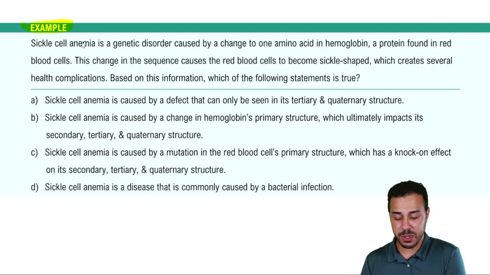 Protein Structure Example 2