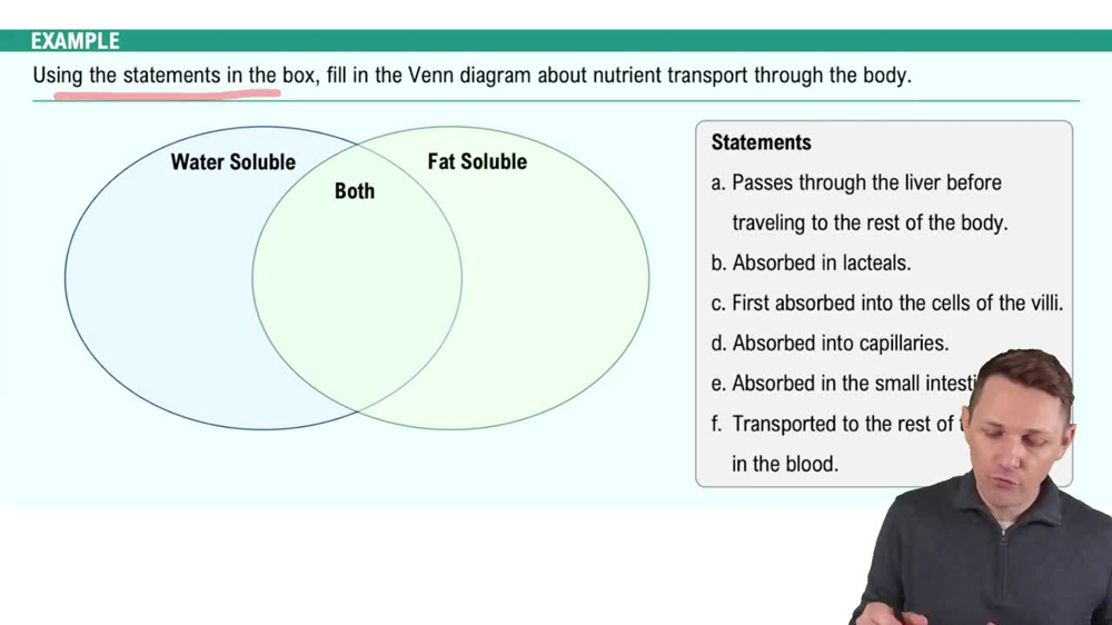 Nutrient Absorption and Transport Example 1
