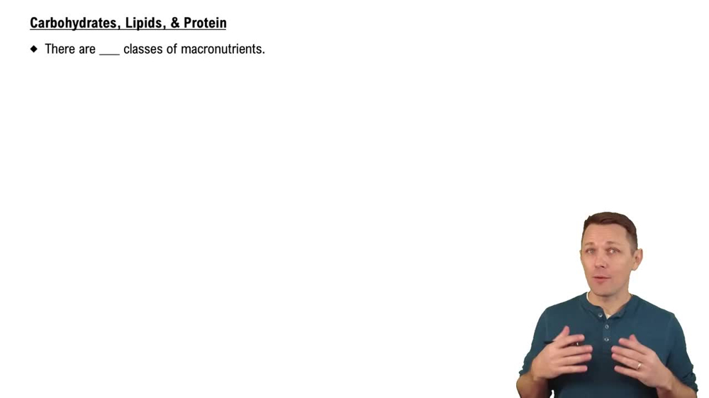 Carbohydrates, Lipids, & Protein