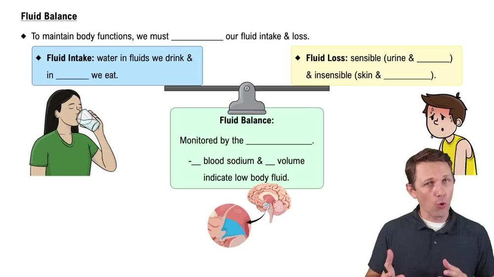 Fluid Balance