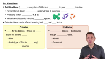 Gut Microbiome