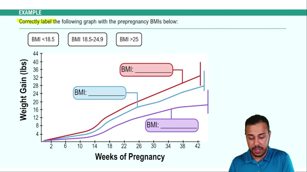 Nutrition During Gestation Example 3