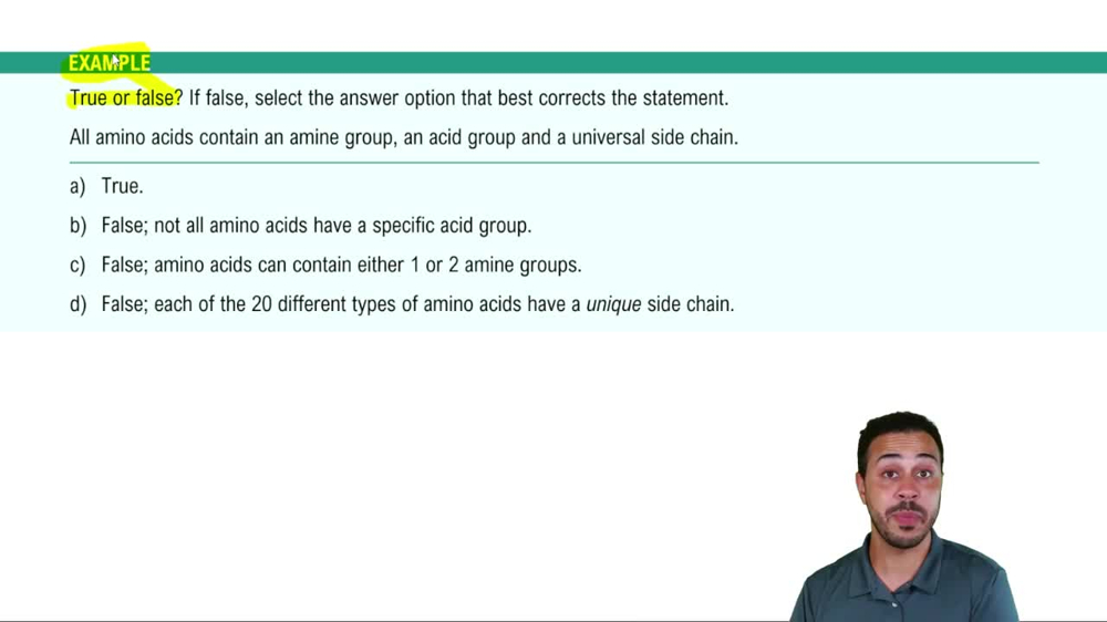 Protein Structure Example 1