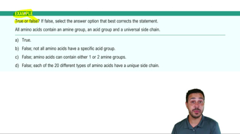 Protein Structure Example 1