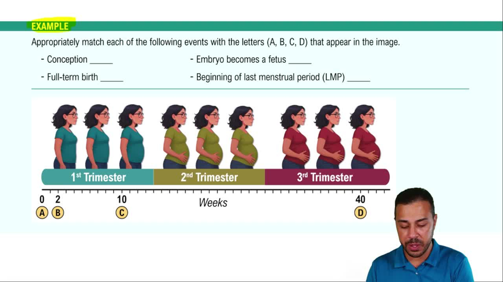 Preconception Nutrition Example 1
