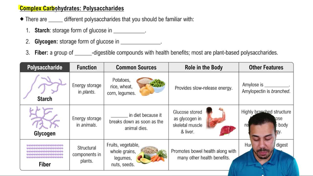 Complex Carbohydrates: Polysaccharides