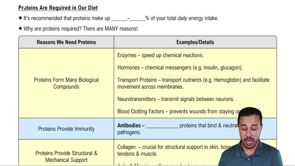 Proteins Are Required in Our Diet