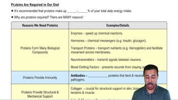 Proteins Are Required in Our Diet