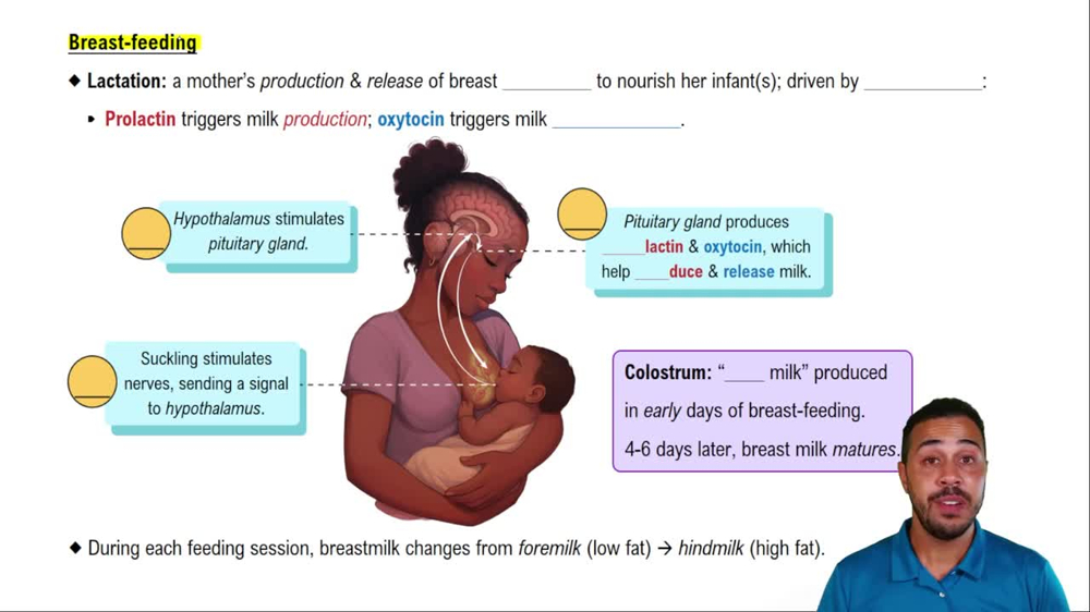 Breastfeeding