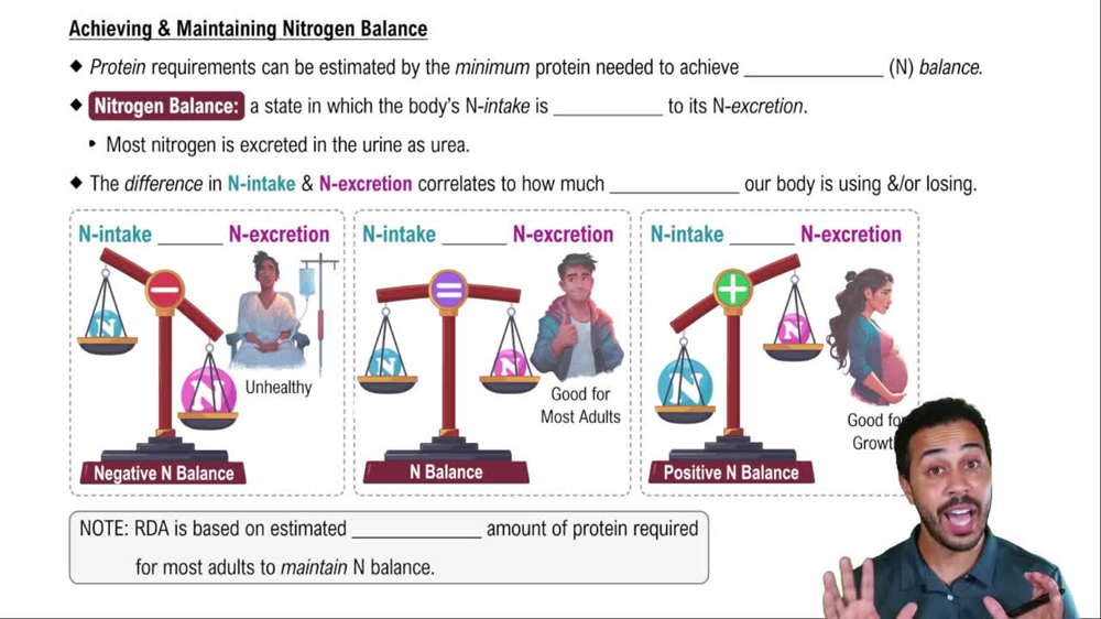Achieving & Maintaining Nitrogen Balanace