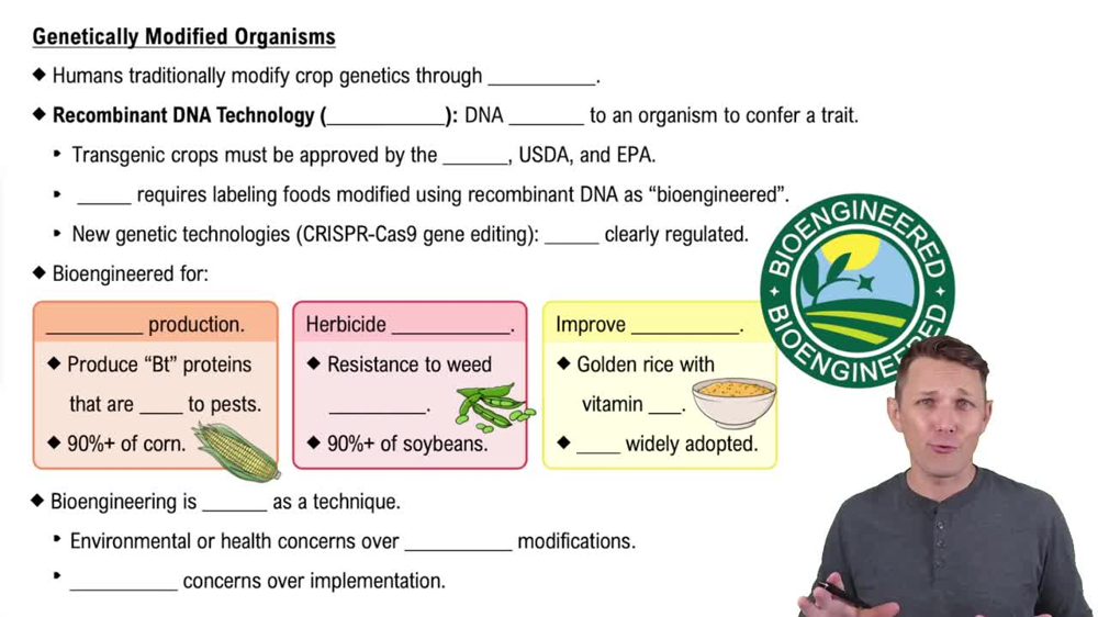 Genetically Modified Organisms
