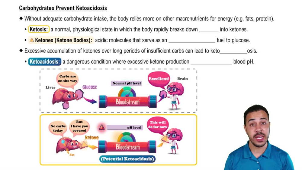 Carbohydrates Prevent Ketoacidosis