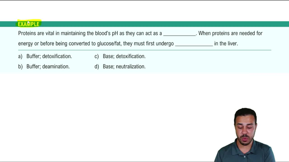 Why Do We Need Protein? Example 1