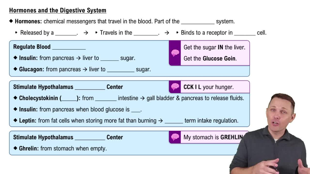Hormones and the Digestive System