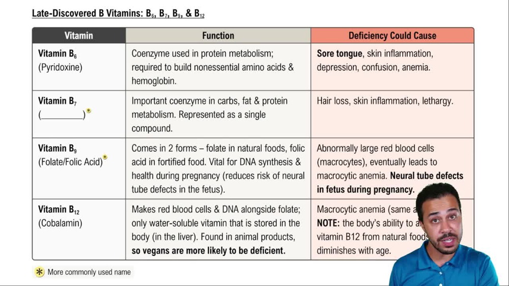 Late-Discovered B Vitamins: B₆,B₇, B₉ & B₁₂