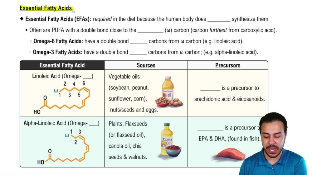 Essential Fatty Acids